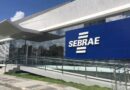 Sebrae Goiás lança processo seletivo com mais de 300 vagas para bolsas de R$ 5 mil