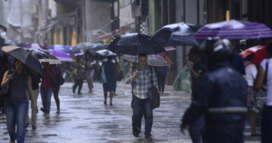 Chuva e ventos fortes: Como se preparar para temporais