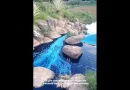 Caminhão derrama corante em lago de SP e mata animais tingidos de azul