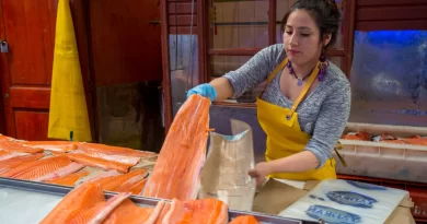 Alimentos que ajudam a combater o refluxo e a azia