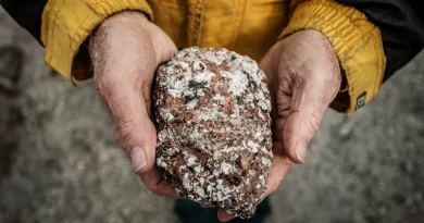 Por que os minerais de terras raras são tão importantes atualmente?