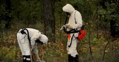 Vida selvagem substitui humanos na paisagem radioativa de Chernobyl