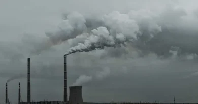 Ar poluído aumenta risco de câncer e ameaça avanço no combate à doença, aponta relatório global