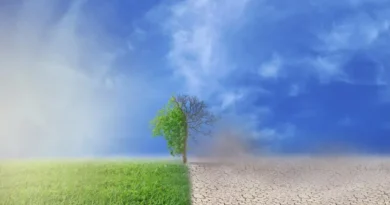 Avançam projeções de El Niño mais forte neste ano