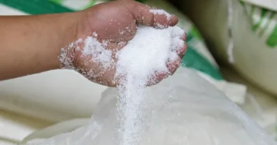 PF apreende 48 toneladas de açúcar suspeito de adulteração no PR