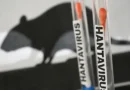Paraná confirma dois casos de hantavírus e investiga outros 11