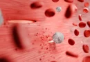 7 hábitos simples para controlar o açúcar no sangue no dia a dia