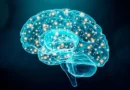 Neurologista revela os 5 truques para o “cérebro demorar a envelhecer”