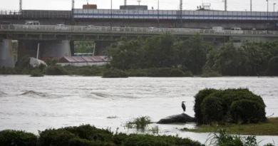 Tufão Jangmi deixa feridos, corta energia e cancela 600 voos no Japão