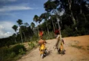 Fazendeiros usam agrotóxicos para expulsar aldeia indígena em Rondônia, diz MPF