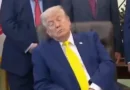 Vídeo de Trump tirando soneca viraliza nas redes sociais; veja