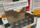Dengue: Anvisa cria grupo para avaliar segurança da vacina do Butantan