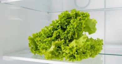 O truque para a alface durar um mês na geladeira sem estragar