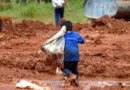 Somente três estados têm plano vigente contra o trabalho infantil