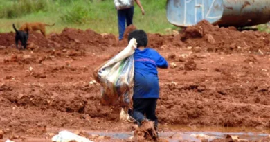 Somente três estados têm plano vigente contra o trabalho infantil