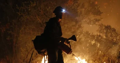 Incêndios florestais forçam 13,6 mil pessoas a deixarem casas e acampamentos na Europa
