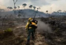 Homem é preso por iniciar ‘pior incêndio da história’ na região de Madri