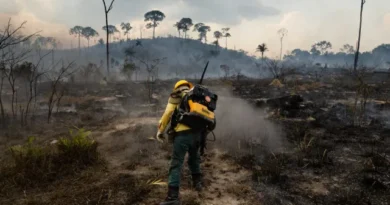 Homem é preso por iniciar ‘pior incêndio da história’ na região de Madri