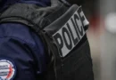Corpos de cinco bebês são encontrados em caixas de papelão na França