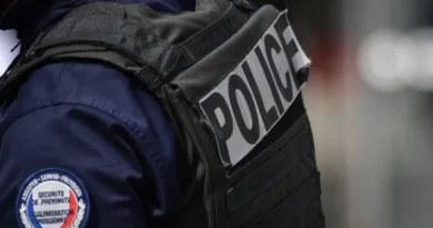 Corpos de cinco bebês são encontrados em caixas de papelão na França