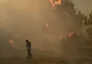 Espanha: 11 morrem e 19 estão desaparecidos em incêndio florestal