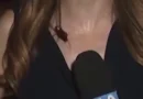 Vídeo viral: Barata voadora invade cobertura ao vivo de jornalista