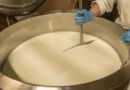 Menino morre após 9 anos em estado vegetativo por queijo contaminado