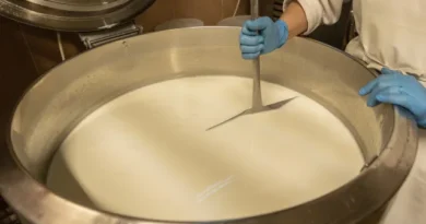 Menino morre após 9 anos em estado vegetativo por queijo contaminado