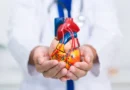 Cardiologistas destacam alimento que pode ajudar a proteger o coração