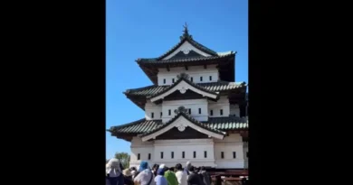 1.800 pessoas puxam castelo de 360 toneladas de volta ao lugar no Japão