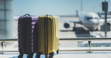 Punição inédita da Anac: homem é proibido de voar por 6 meses após expor órgão sexual em avião