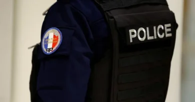 O que se sabe sobre menino de 7 anos suspeito de matar tia na França?