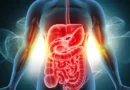 Cenoura pode ajudar na digestão e melhorar o funcionamento do intestino