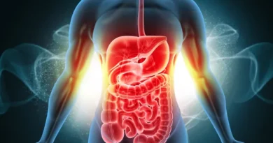 Cenoura pode ajudar na digestão e melhorar o funcionamento do intestino