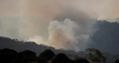 Ibama aplica R$ 2 milhões em multas por incêndios ilegais na Amazônia