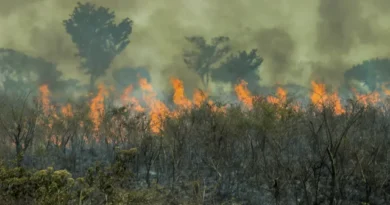 Incêndio de grandes proporções atinge área de proteção ambiental em Santarém, no Pará